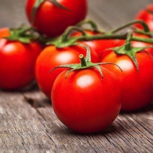 Tomato - Russian Red